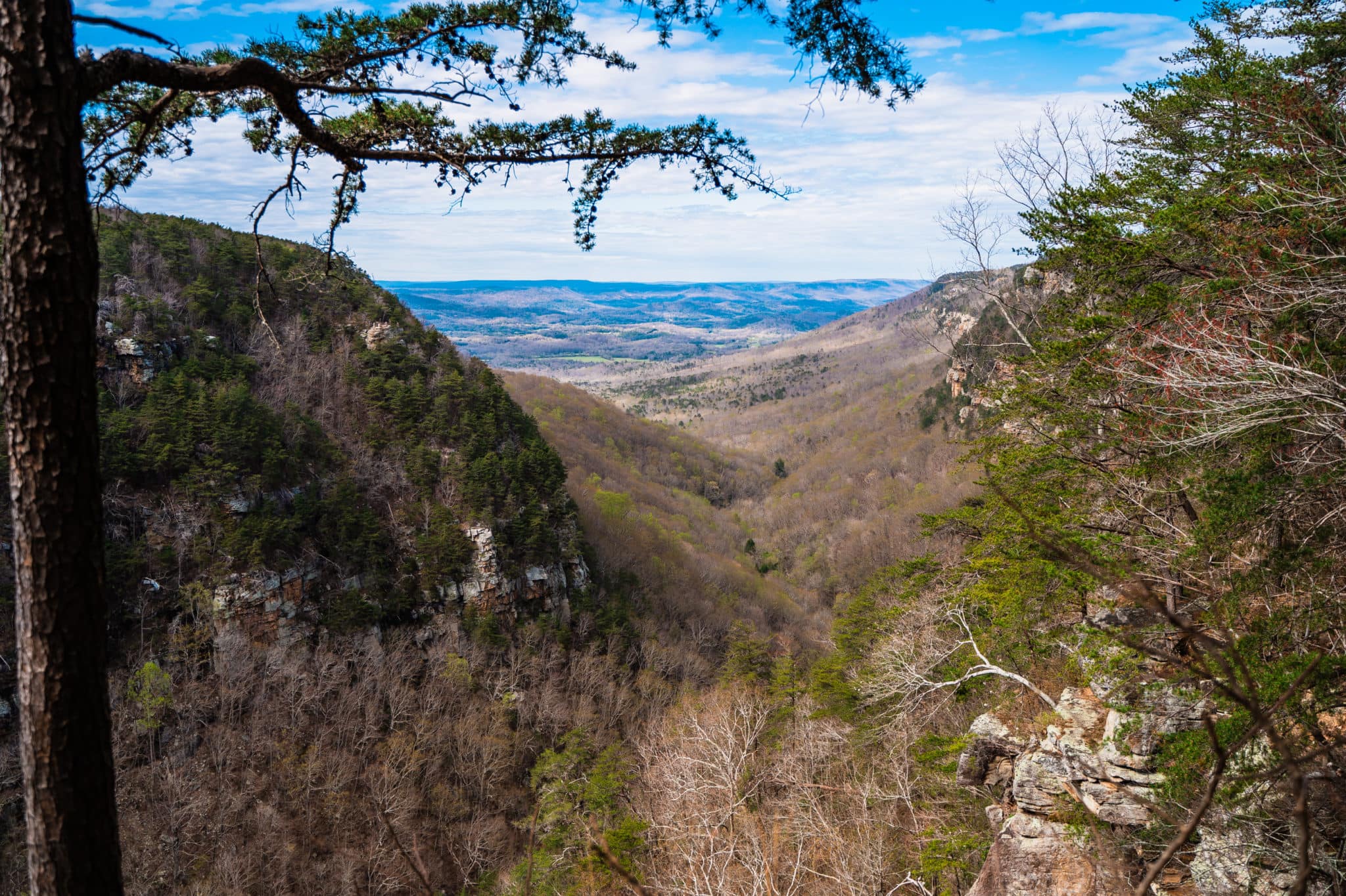 Places to Elope in Georgia | For Adventure! » StoryBright Films