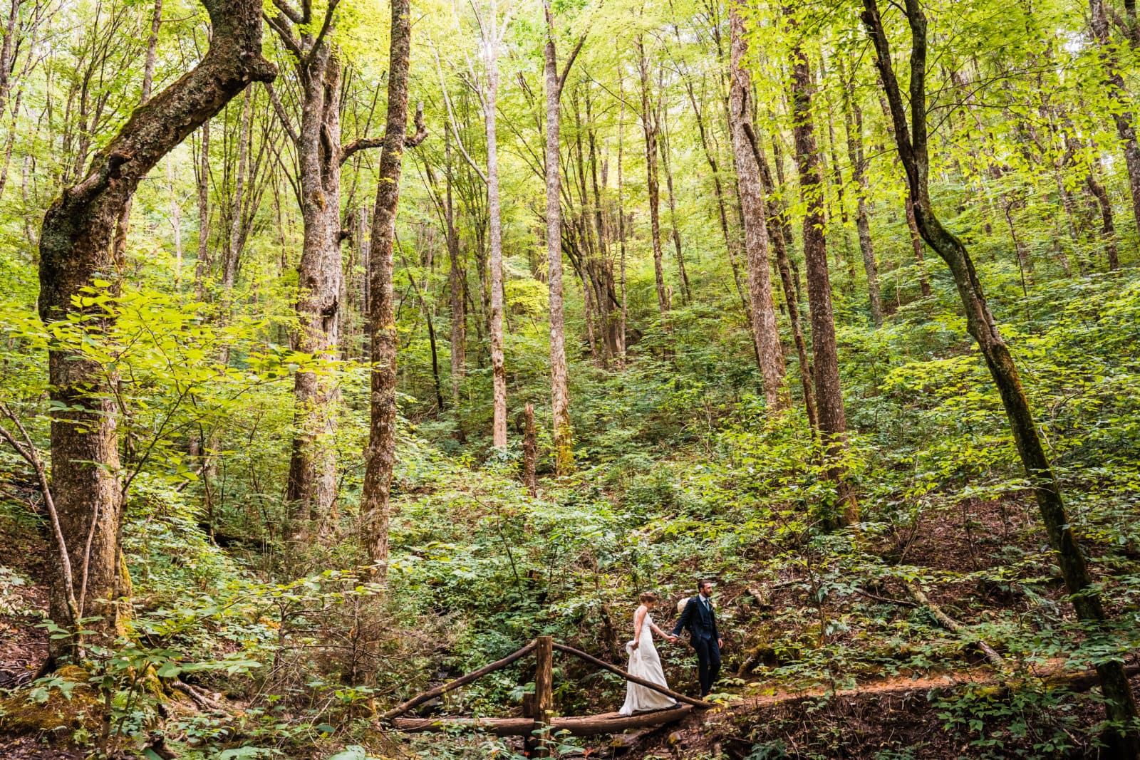 forest-wedding-venues-in-nc-for-adventurous-elopements-and-small